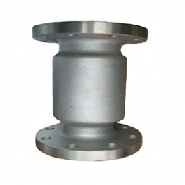 Stainless Steel Vertical Check Valve
