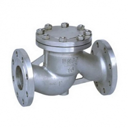 Stainless Steel Lifting Check Valve 